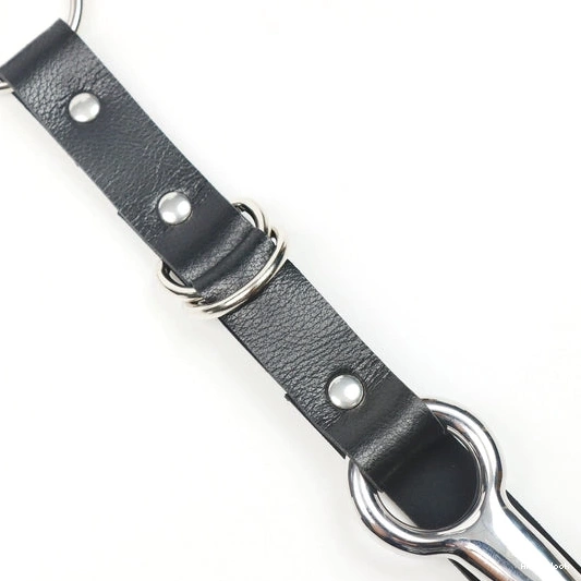 and EverydayUse with Leash Kinky 5853 Hook Collar Anal 0816